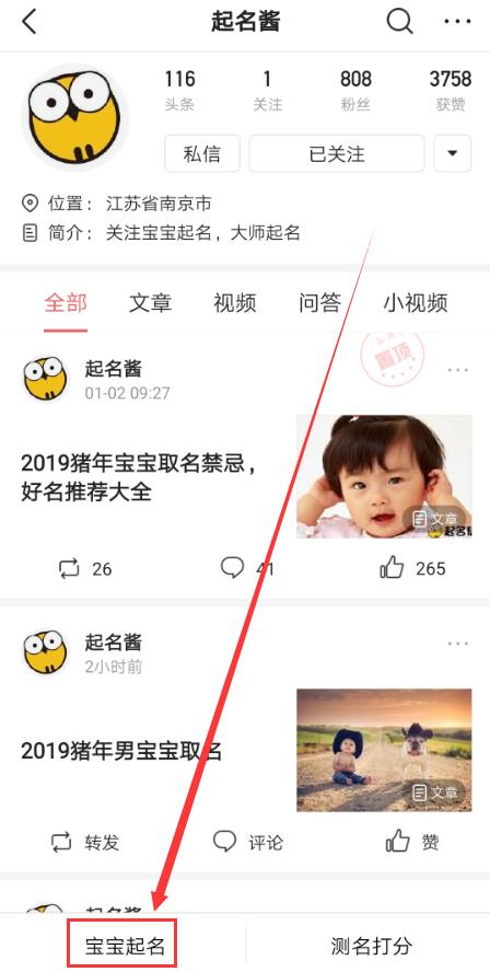 起名要结合生辰和其他注意点，适合猪年男孩女孩的名字推荐