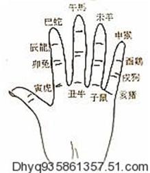 手上掌诀图 十二地支六冲掌诀图与生肖时辰六合掌诀图 地支的作用