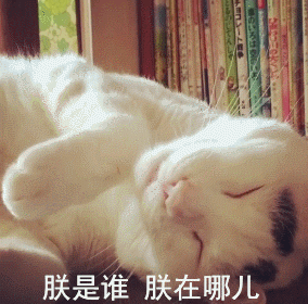 这只日本生辰眉囧猫真萌，好想抱抱