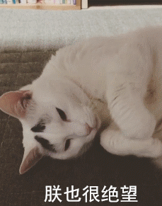 这只日本生辰眉囧猫真萌，好想抱抱