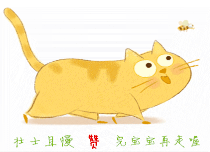 这只日本生辰眉囧猫真萌，好想抱抱