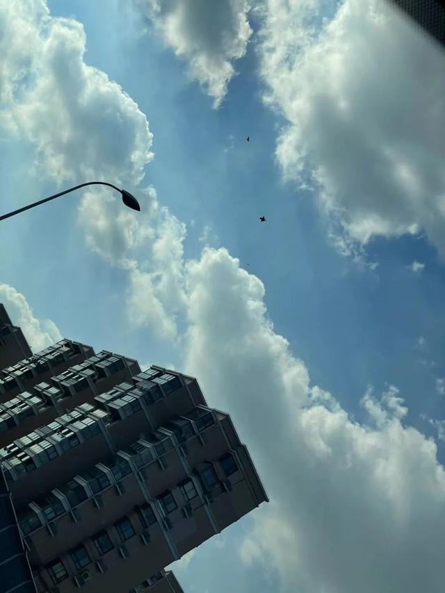 火出圈的大厂相亲文档：把长得好看写上去，就很有用
