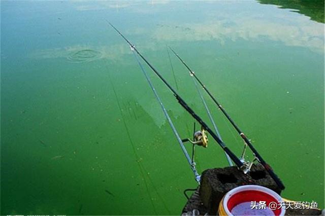 野钓大鱼，不会带漂远投，技术是不完整的！野钓第一钓法，学不学