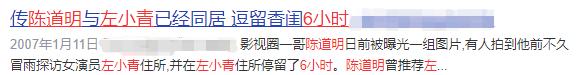 “外生辰”左小青：让陈道明采取“三不”措施，嫁给大20岁富豪