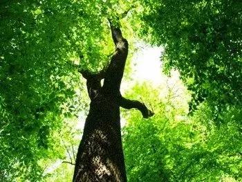 你到底为何命？遭遇低谷时又该怎么办？