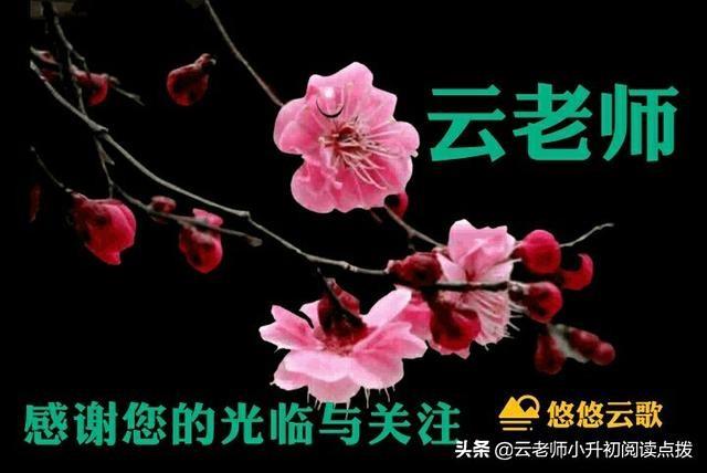 小升初成语专项练习题，赶紧来考考自己吧