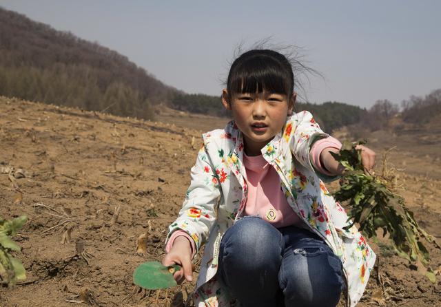 从两个“多指畸形”孩子的不同命运，看中国式教育的隐喻