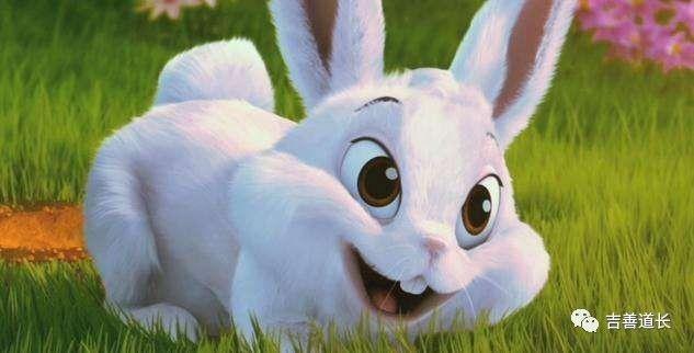 2018年十二生肖运程受流年影响，看看自己所属生肖的开运方法