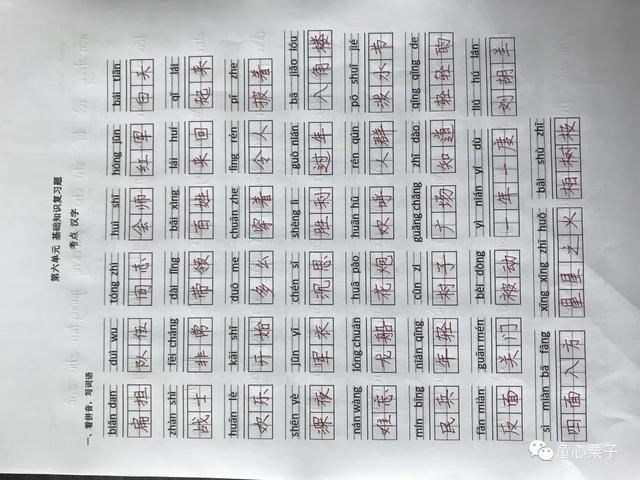 「最适合家长的复习材料」语文二年级上册《语文园地六》复习方法