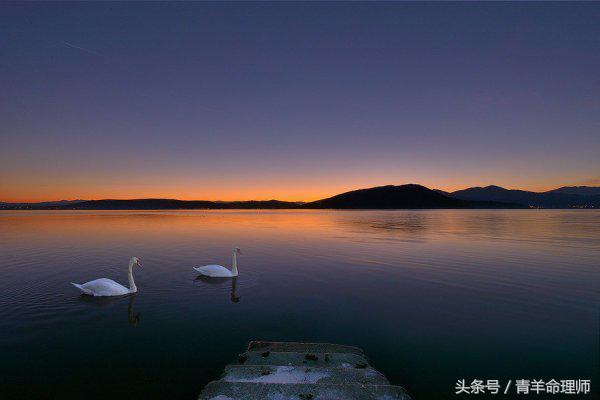 今年有望步入婚姻殿堂的生肖