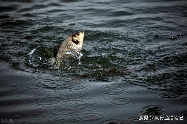 子线与生辰环这样连接，不仅牢固而且可有效降低缠线机率