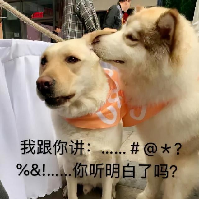 优秀的编剧，知道看黄历