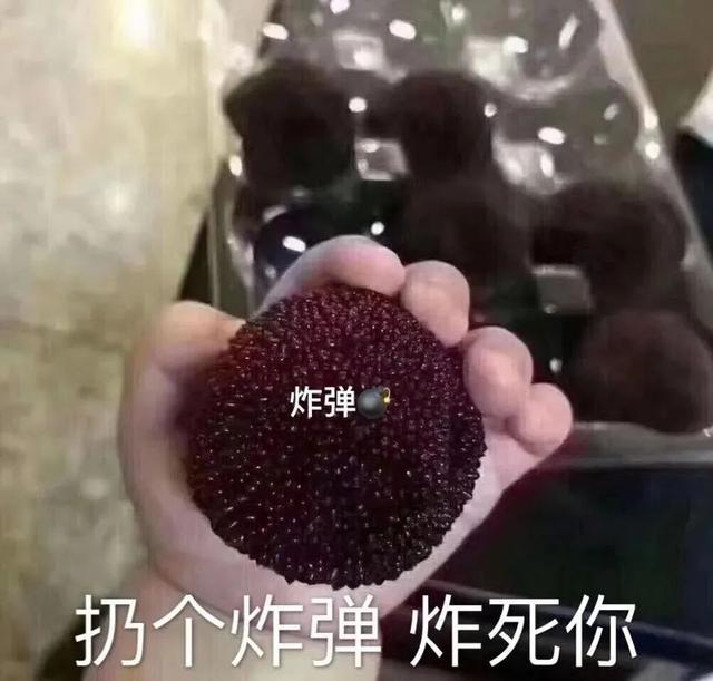 优秀的编剧，知道看黄历