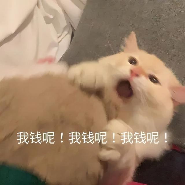 优秀的编剧，知道看黄历