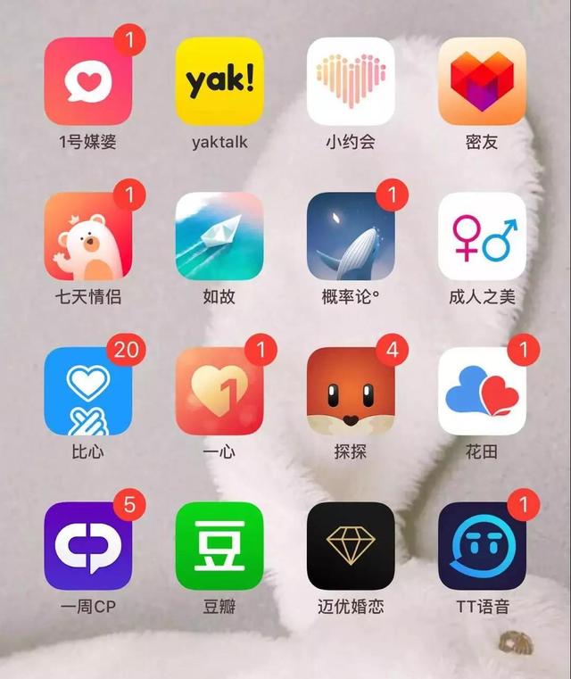 我的高科技相亲经历