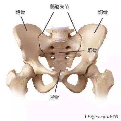刘浩存美腿有瑕疵？如何改善假胯宽显腿长？每天睡前10min这样练