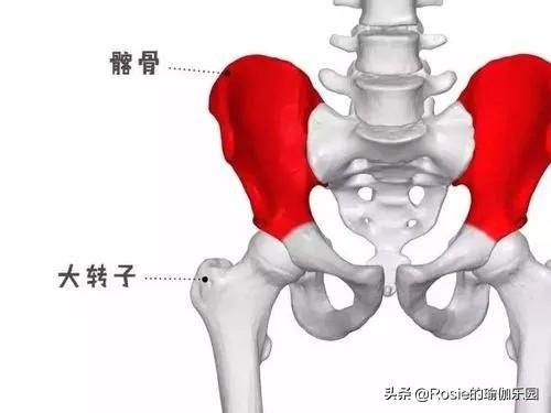刘浩存美腿有瑕疵？如何改善假胯宽显腿长？每天睡前10min这样练