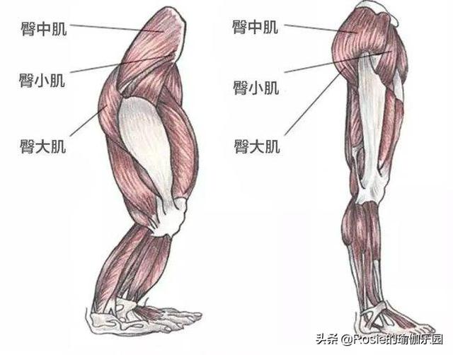 刘浩存美腿有瑕疵？如何改善假胯宽显腿长？每天睡前10min这样练