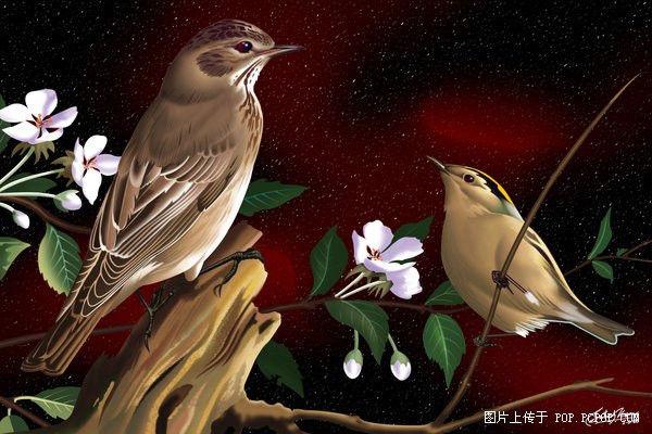 生辰推命密技帮你提高10年功力 不要错过哦！