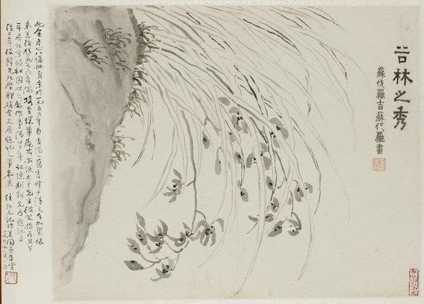 石涛八大合作绘画意外现“三胞”，刘海粟美术馆邀公众解疑