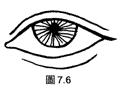 面相解析：論眼（三十五歲至四十歲行眼運），看你中年运势如何！