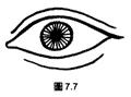面相解析：論眼（三十五歲至四十歲行眼運），看你中年运势如何！