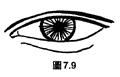 面相解析：論眼（三十五歲至四十歲行眼運），看你中年运势如何！