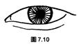面相解析：論眼（三十五歲至四十歲行眼運），看你中年运势如何！