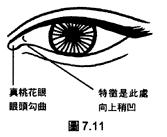 面相解析：論眼（三十五歲至四十歲行眼運），看你中年运势如何！