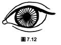 面相解析：論眼（三十五歲至四十歲行眼運），看你中年运势如何！