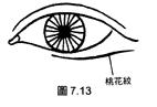 面相解析：論眼（三十五歲至四十歲行眼運），看你中年运势如何！