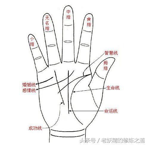 奇妙的生命线——左手先天，右手后天