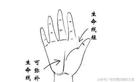 奇妙的生命线——左手先天，右手后天