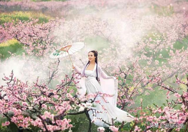 桃花与桃花劫