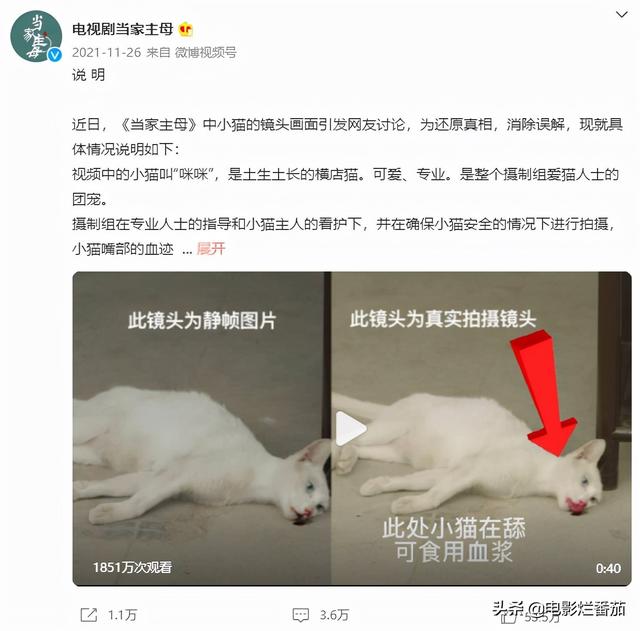 2021年度十大烂剧，最高3.4分，最低只有2.5分，真是无法直视