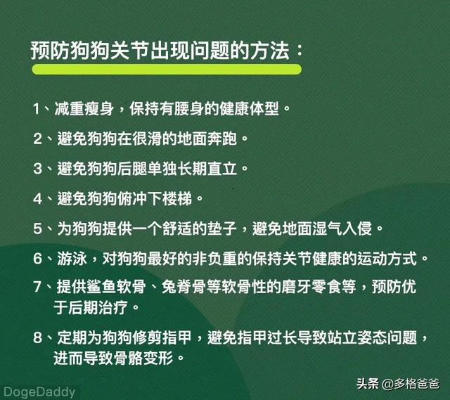 大部分狗狗都有关节问题，如何进行日常检查？