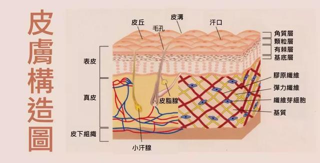 法令纹、抬头纹、鱼尾纹…通通都给我闪开！