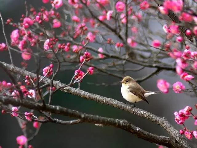 江湖看婚姻秘诀 多婚重婚婚姻不顺包括生离死别及与异性有染或……