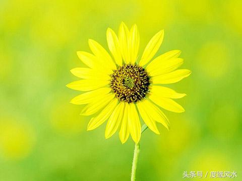 如何从生辰中看事业发展方位