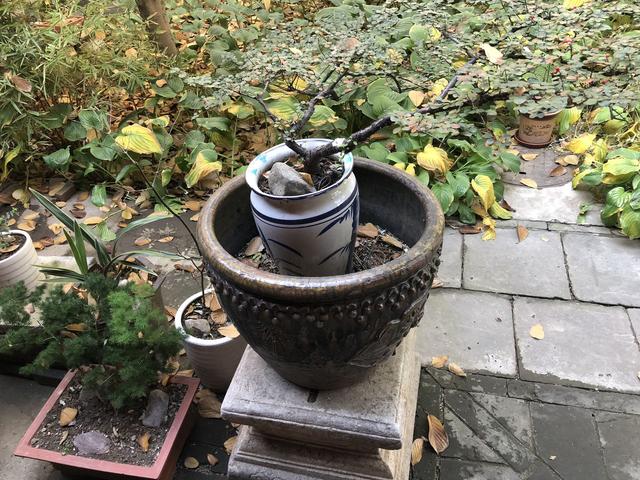 教你看面相：看眉识人