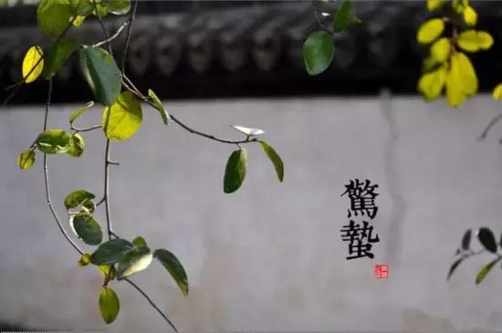 生辰命理丨如何判断日元旺衰「精选」