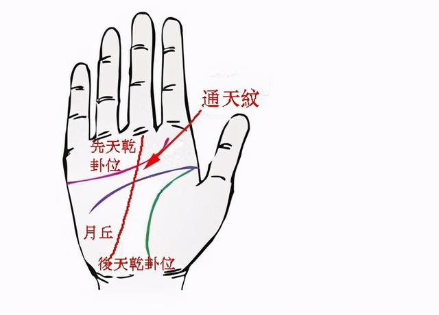 北京大妈为何说有通天纹就是正黄旗？与努尔哈赤有关？她是真不懂