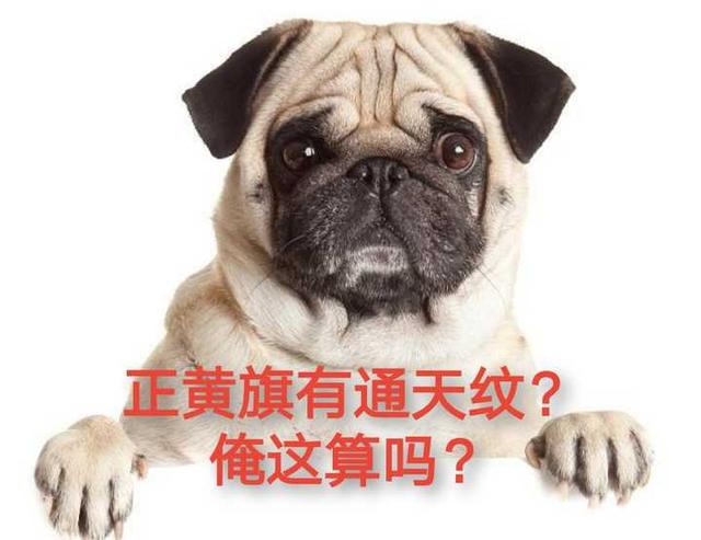 北京大妈为何说有通天纹就是正黄旗？与努尔哈赤有关？她是真不懂