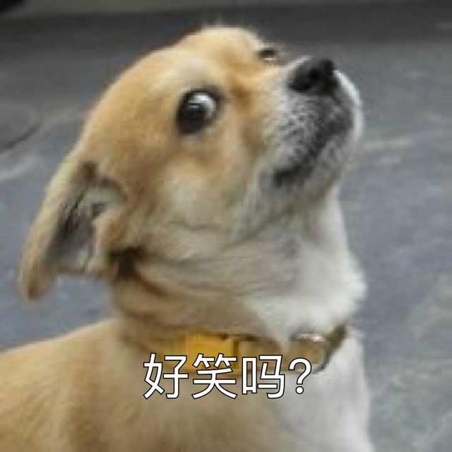 北京大妈为何说有通天纹就是正黄旗？与努尔哈赤有关？她是真不懂