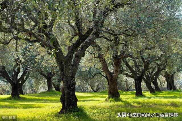 取用神的方法定义为五种，即：扶抑、病药、调候、专旺、通关