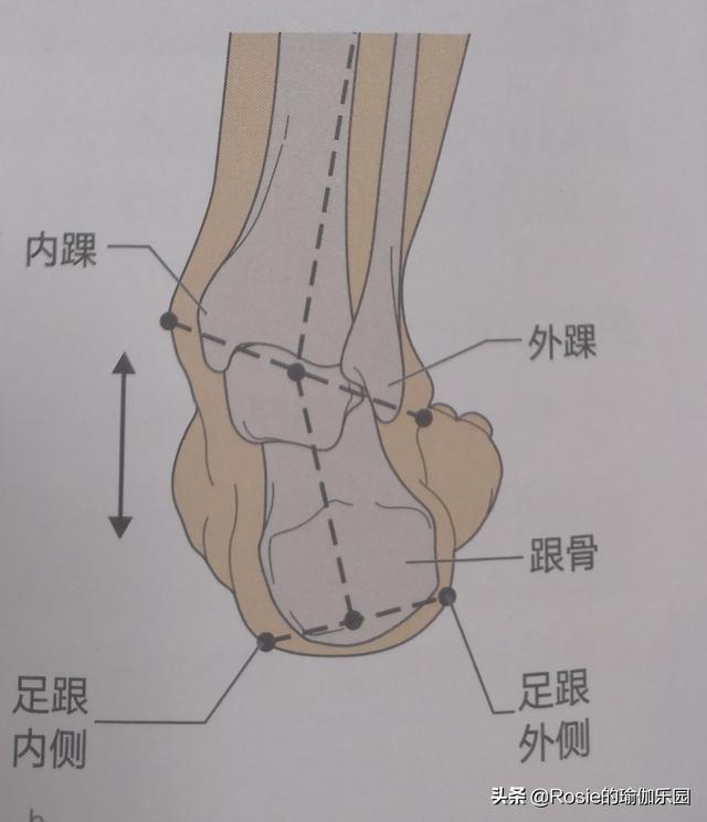 刘涛也内生辰？X型腿如何破？做好这2步细直疏影腿你也有