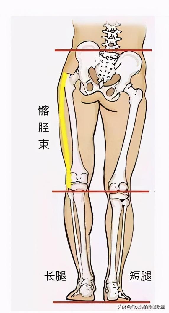 刘涛也内生辰？X型腿如何破？做好这2步细直疏影腿你也有