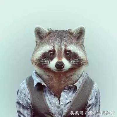 古法命理之《月令七杀偏官格》附带一个京城妹纸的生辰分析
