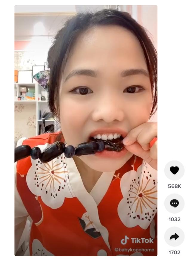 万物皆可糖葫芦！TikTok上的冰糖葫芦观看量近7亿