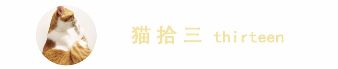 有刘海的猫咪，也太太太太可爱了吧！这颜值完全不亚于正八脸猫